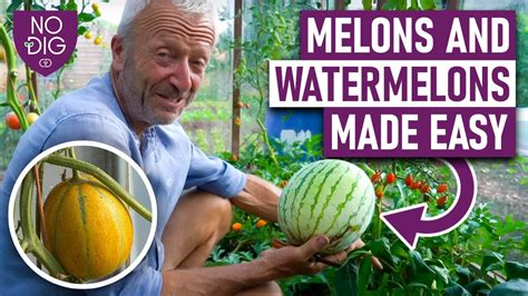 melonstuve|Free Melons Tube Porn Videos